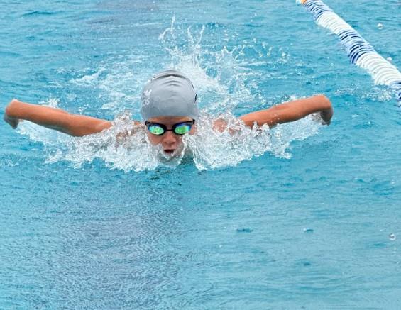 Stroke Development Learn to Swim